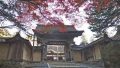 高野山　山門の紅葉パノラマビューと雨雲レーダー/和歌山県高野町