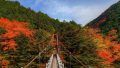 虫食い岩パノラマビューと雨雲レーダー/和歌山県古座川町