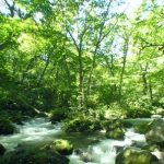 奥入瀬渓流・阿修羅の流れパノラマビュー