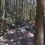 熊野参詣道(熊野古道)伊勢路ツヅラト峠のストリートビュー