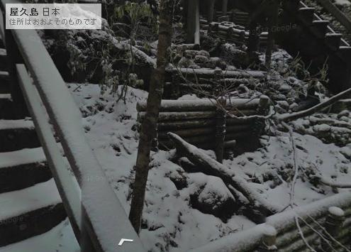 一度は行きたい！鹿児島県　屋久島「ウィルソン株」のストリートビューと天気・地図