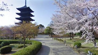 五重塔と桜が美しい世界遺産　東寺のストリートビューと雨雲レーダー