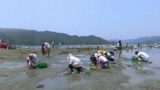 潮干狩りのパノラマビューと雨雲レーダー/高知県土佐市