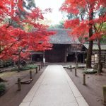 平林寺のパノラマビュー
