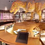 福井県立恐竜博物館のストリートビュー